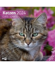 Kalendar Ackermann - Cats, 2024