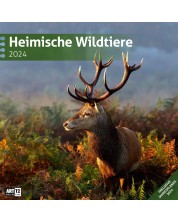 Kalendar Ackermann - Wild Animals of Germany, 2024