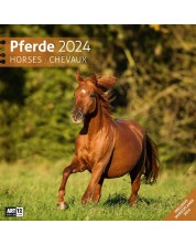 Kalendar Ackermann - Horses, 2024 -1