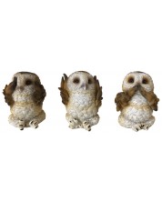 Set kipića Nemesis Now Adult: Gothic - Three Wise Brown Owls, 7 cm -1