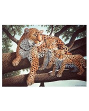 Set za slikanje akrilnim bojama Royal - Leopardi, 39 х 30 cm -1