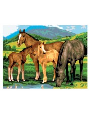 Set za slikanje akrilnim bojama Royal - Konji i ždrebad, 39 х 30 cm -1