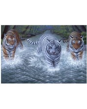 Set za slikanje akrilnim bojama Royal - Tigrovi, 39 х 30 cm -1
