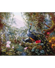 Set za slikanje po brojevima Ideyka - Čarobni paunovi, 40 х 50 cm