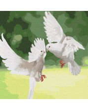 Set za slikanje po brojevima Ideyka - Bijeli golubovi, 40 х 40 cm -1