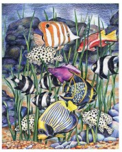 Set za crtanje olovkama u boji Royal - Tropska riba, 22 х 30 cm -1