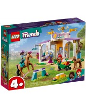 Konstruktor LEGO Friends - Trening s konjem (41746)