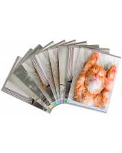 Set od 10 bilježnica Elisa Sweet Pets - A4, 62 lista, asortiman