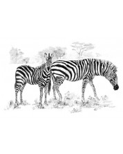 Set za crtanje grafike Royal - Zebre, 29 х 39 cm