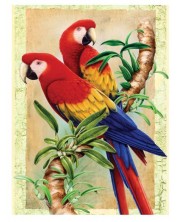 Set za slikanje akrilnim bojama Royal - Papige, 22 х 30 cm -1