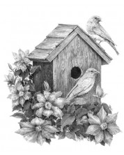 Set za crtanje grafike Royal - Ptice i kuća, 23 х 30 cm -1