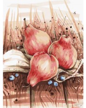 Set za slikanje po brojevima TSvetnoy - Still Life with Pears
