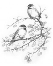 Set za crtanje grafike Royal - Ptice, 23 х 30 cm