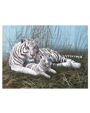 Set za slikanje akrilnim bojama Royal - Bijeli tigrovi, 39 х 30 cm