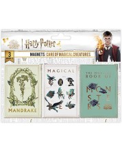 Set magneta Cine Replicas Movies: Harry Potter - Care of Magical Creatures
