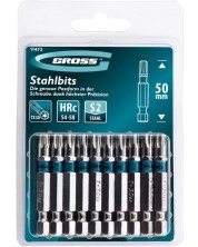 Set bitova Gross - TORX 30, 50 mm, S2, 10 komada -1