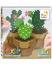 Kreativni set s pikselima Pixelhobby Classic - Kaktusi -1