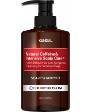 Kundal Šampon Caffeine Scalp, Trešnja, 500 ml