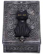 Kutija za pohranu Nemesis Now Adult: Gothic - Familiar Spell Box, 13 cm -1