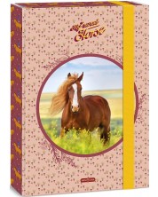 Kutija s gumicom Ars Una My Sweet Horse - A4 -1