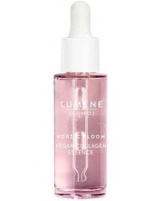 Lumene Lumo Kolagenski lifting serum Nordic Bloom, 30 ml -1