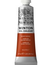 Uljana boja Winsor & Newton Winton - Burnt Sienna, 37 ml