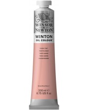 Uljana boja Winsor & Newton Winton - Tjelesna, 200 ml -1