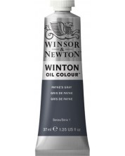 Uljana boja Winsor & Newton Winton - Siva Payne‘s, 37 ml