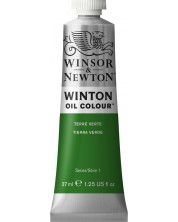 Uljana boja Winsor & Newton Winton - Terre Verte, 37 ml