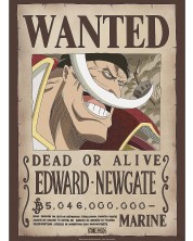Mini poster GB eye Animation: One Piece - Whitebeard Wanted Poster