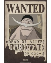 Mini poster GB eye Animation: One Piece - Wanted Whitebeard -1