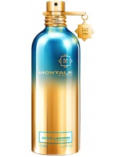 Montale Parfemska voda Aoud Lagoon, 100 ml -1