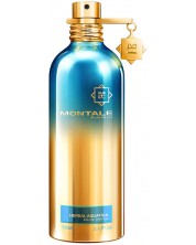 Montale Parfemska voda Herbal Aquatica, 100 ml -1