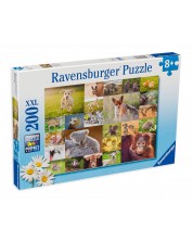 Slagalica Ravensburger od 200 XXL dijelova - Slatke bebe životinje