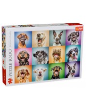 Slagalica Jumbo od 1000 dijelova - Smiješni portreti pasa