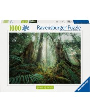 Slagalica Ravensburger od 1000 dijelova - Šarmantna šuma -1