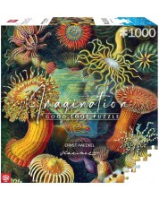 Slagalica Good Loot od 1000 dijelova - Ernst Haeckel: Morska stvorenja -1