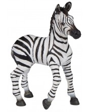 Figurica Papo Wild Animal Kingdom – Mala zebra -1