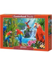 Slagalica Castorland od 2000 dijelova - Sastanak papiga