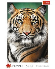 Slagalica Trefl od 1500 dijelova - Portret tigra -1