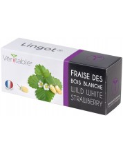 Punilo Veritable - Lingot, Bijele šumske jagode, bez GMO -1
