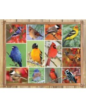 Slagalica Springbok od 1000 dijelova - Slatke ptičice -1