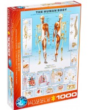 Slagalica Eurographics od 1000 dijelova – Ljudsko tijelo