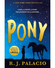 Pony