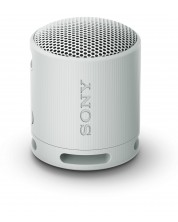 Prijenosni zvučnik Sony - SRS-XB100, sivi -1