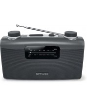 Radio Muse - M-058-R, sivi