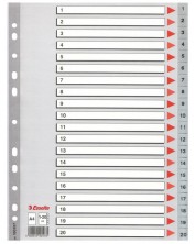 Separator Esselte - A4, 1-20, sivi, 10 komada -1