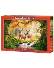 Puzzle Castorland od 1000 dijelova - Kraljevska obitelj