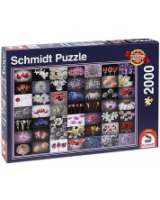 Puzzle Schmidt od 2000 dijelova - Šaren pozdrav