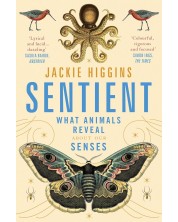 Sentient: What Animals Reveal About Our Senses